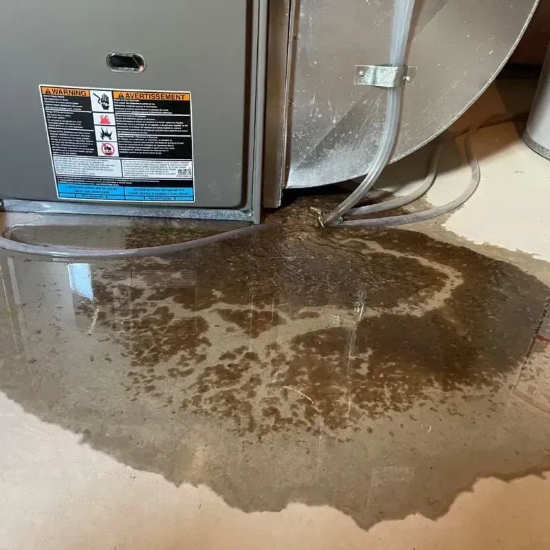 Appliance Leak Cleanup in Silver Spring, MD